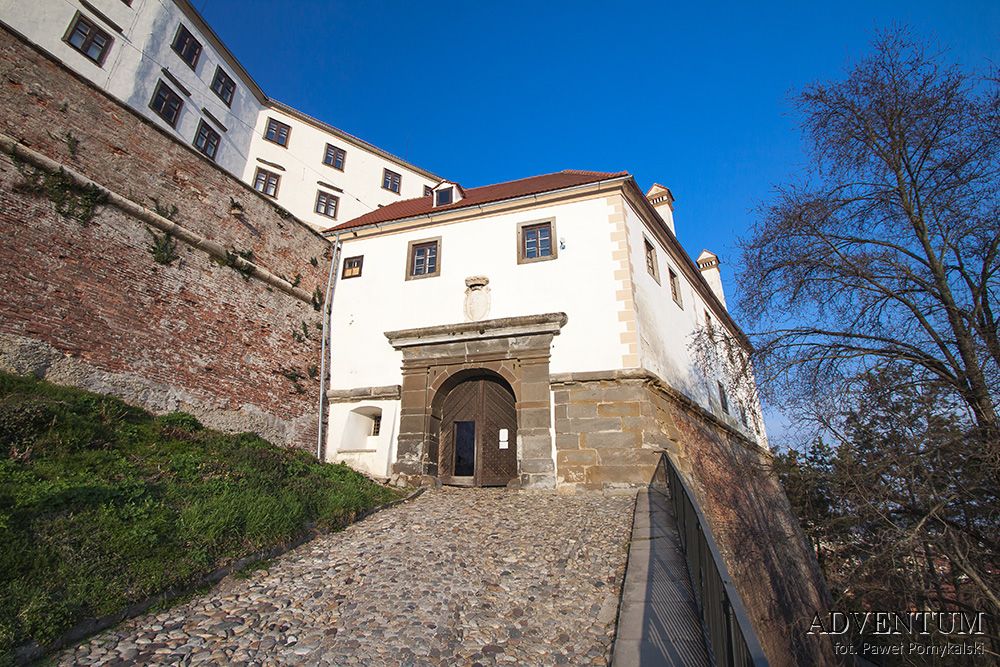 Ptuj zwiedzanie słowenia atrakcje przewodnik noclegi zamek blog termy