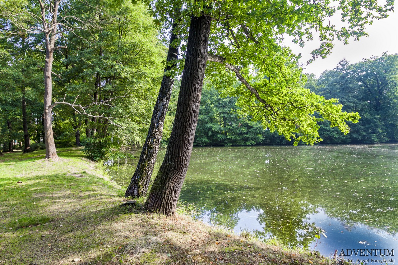Mysłakowice Pałac Atrakcje Zwiedzanie Kościół Noclegi Dolny Śląsk