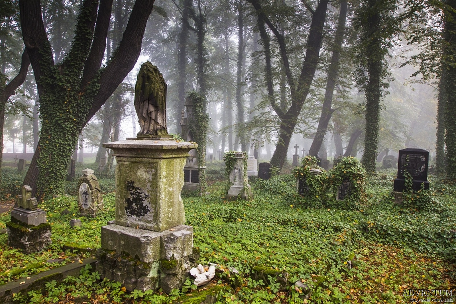 Cmentarze Górny Śląsk Cmentarz nekropiloia Żory