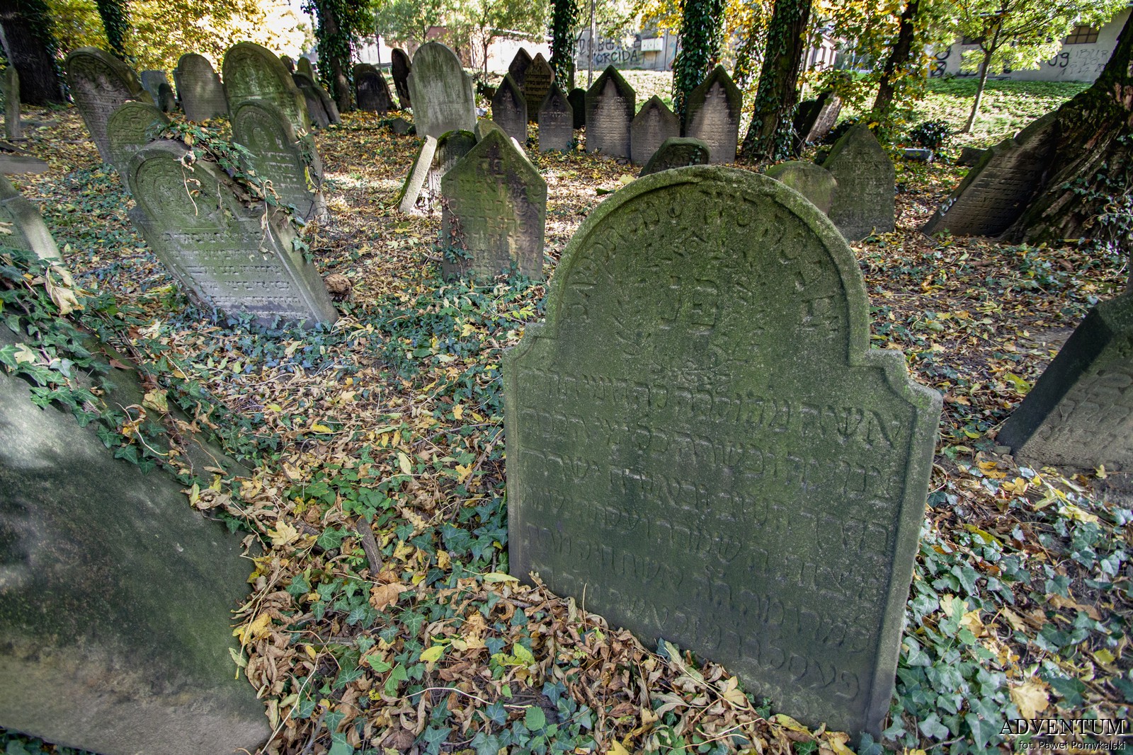 Cmentarze Górny Śląsk Cmentarz Żydowski nekropiloia Cieszyn