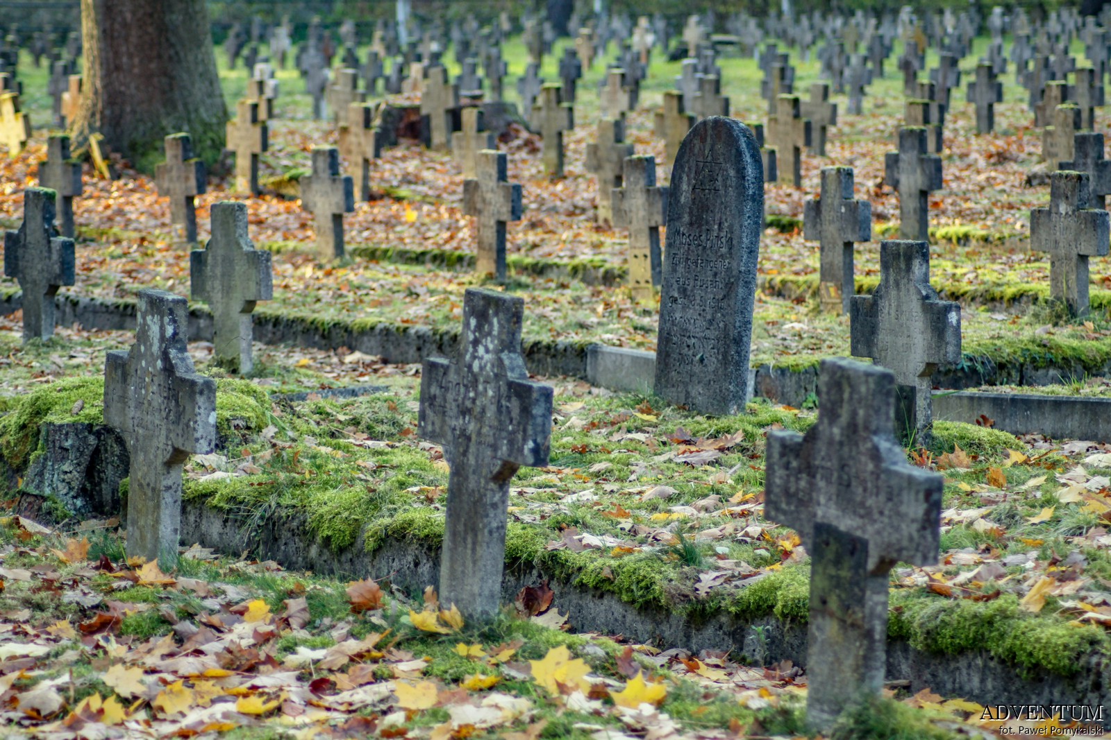 Cmentarze Górny Śląsk Cmentarz nekropiloia Łambinowice
