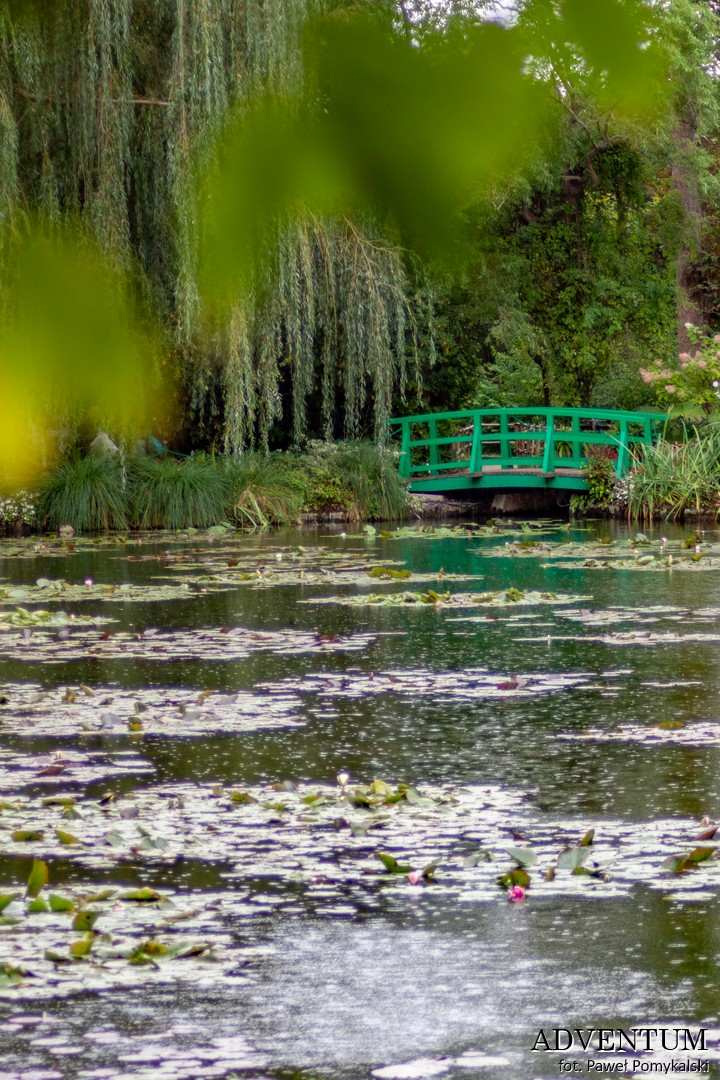 wybrzeże Normandii, atrakcje Normandii, Normandia, Francja, plaże, kurort, zwiedzanie, podróżowanie, podróże, atrakcje, Giverny, ogrody, malarstwo, sztuka
